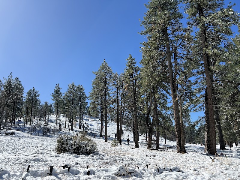 Laguna Mountain Recreation Area