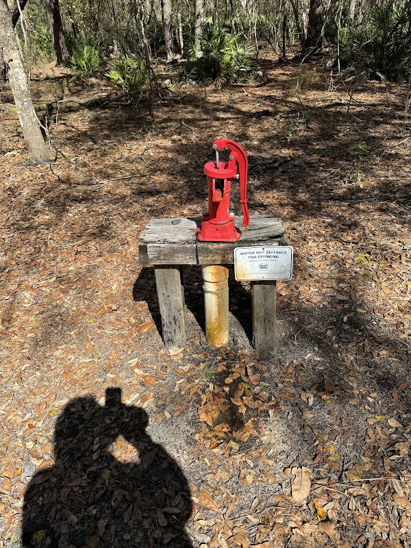 Newnans Lake Conservation Area North Tract North Trail Head