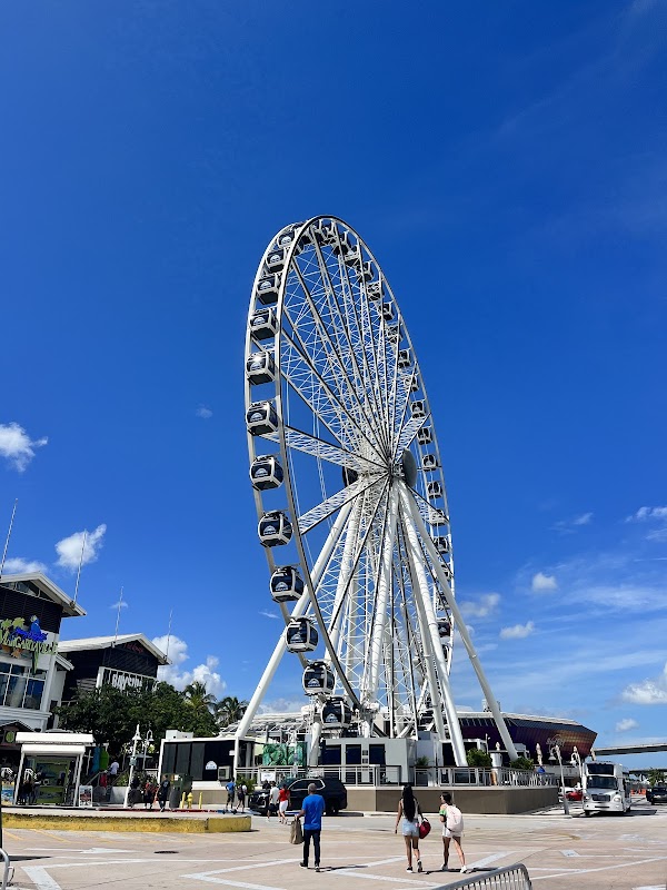 Skyviews Miami Observation Wheel