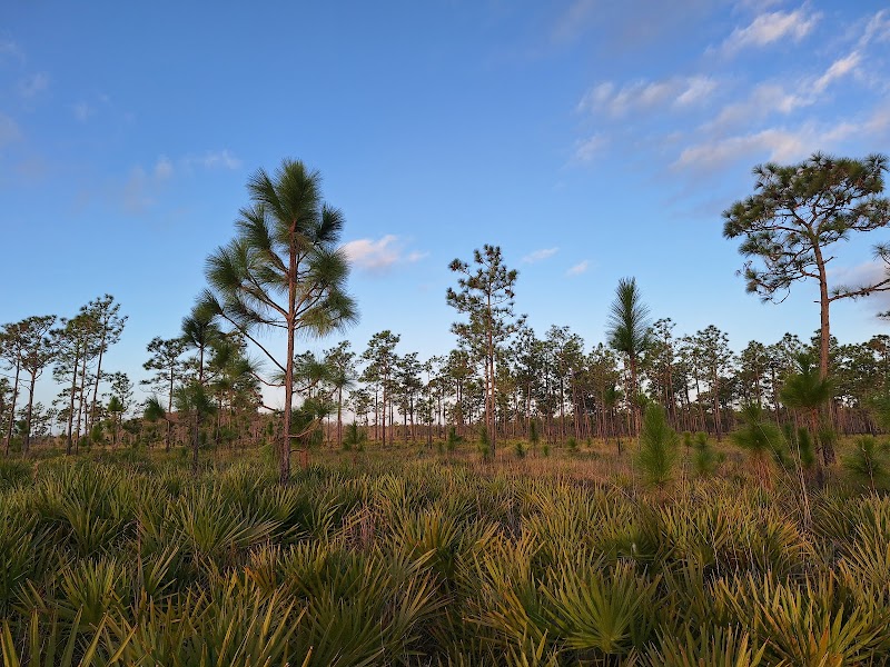 Three Lakes Wildlife Management Area
