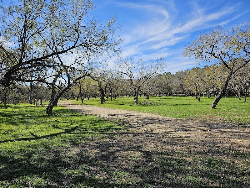 Huebner Onion Natural Area Park
