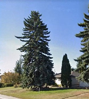 Wellington Community Spray Park