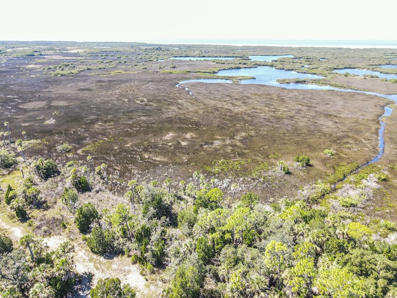 WERNER-BOYCE SALT SPRINGS STATE PARK BLACK RAIL TRAIL HEAD