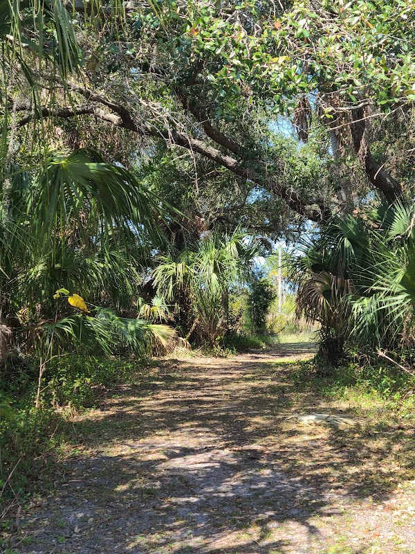 WERNER-BOYCE SALT SPRINGS STATE PARK BLACK RAIL TRAIL HEAD