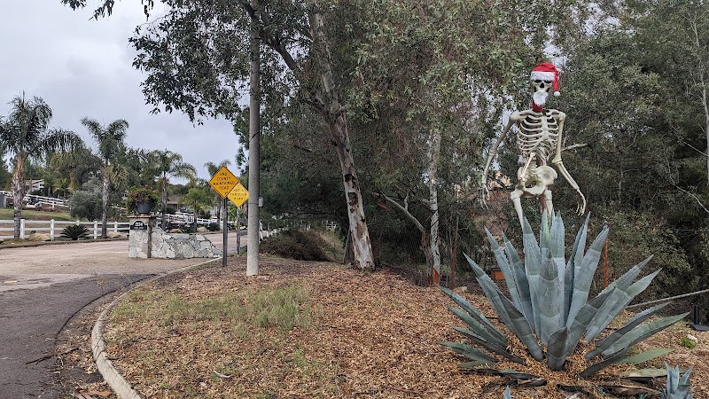Crestridge Ecological Reserve - Rios Canyon Road Trail Head