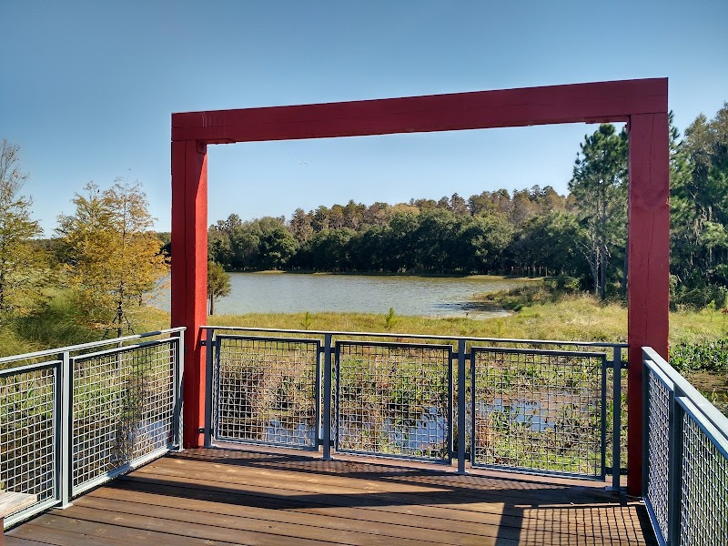 Heart Pine Pond Overlook