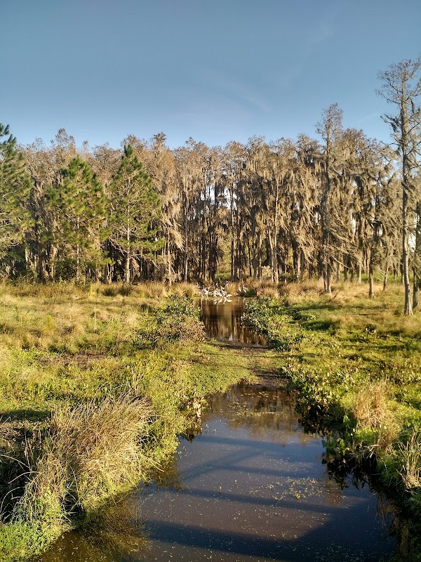 Heart Pine Pond Overlook