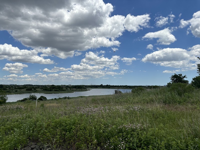 Top Of Shirley Chisholm Park