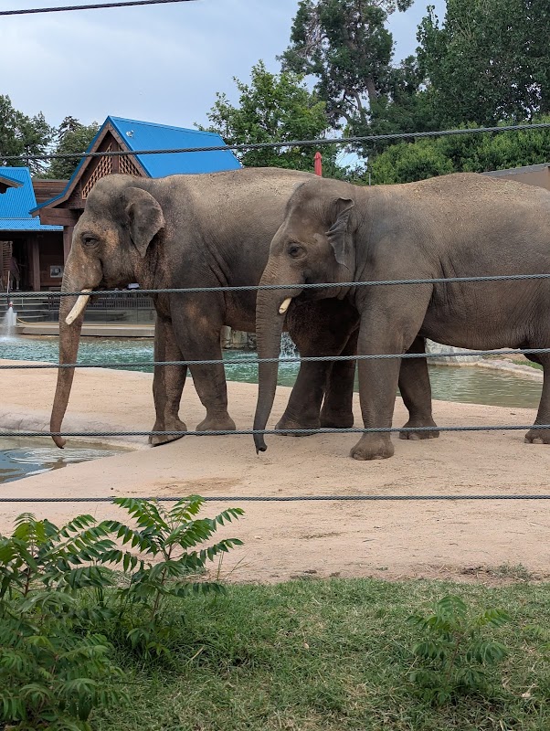 Denver Zoo