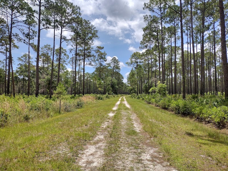 Bayard Observation Tower
