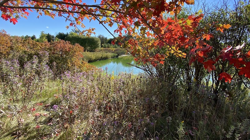 Elmira Nature Reserve & The Habitats