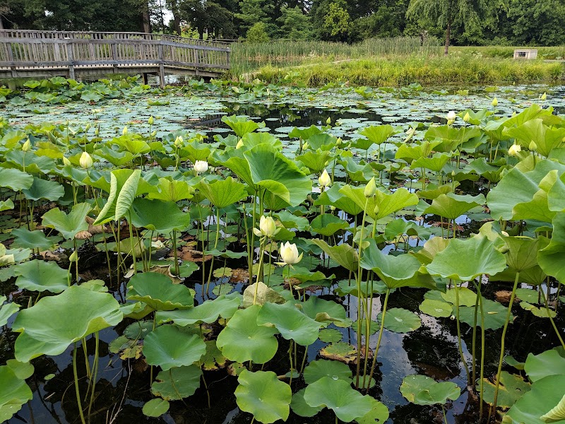 Friends Community Park