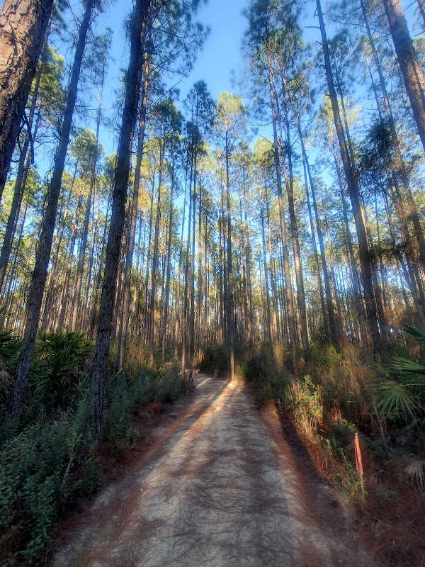 T2 Rivertown Trailhead