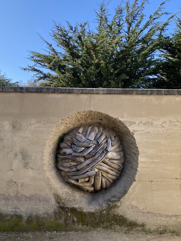 Earth Wall by Andy Goldsworthy