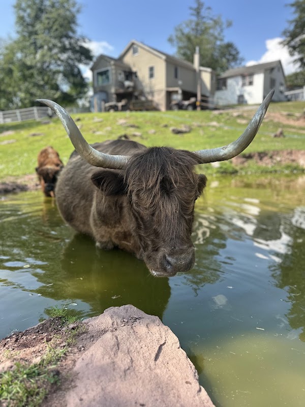 Beaverwood Farm (no children)