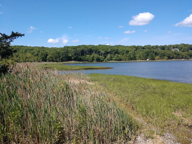 Satterly Landing Park