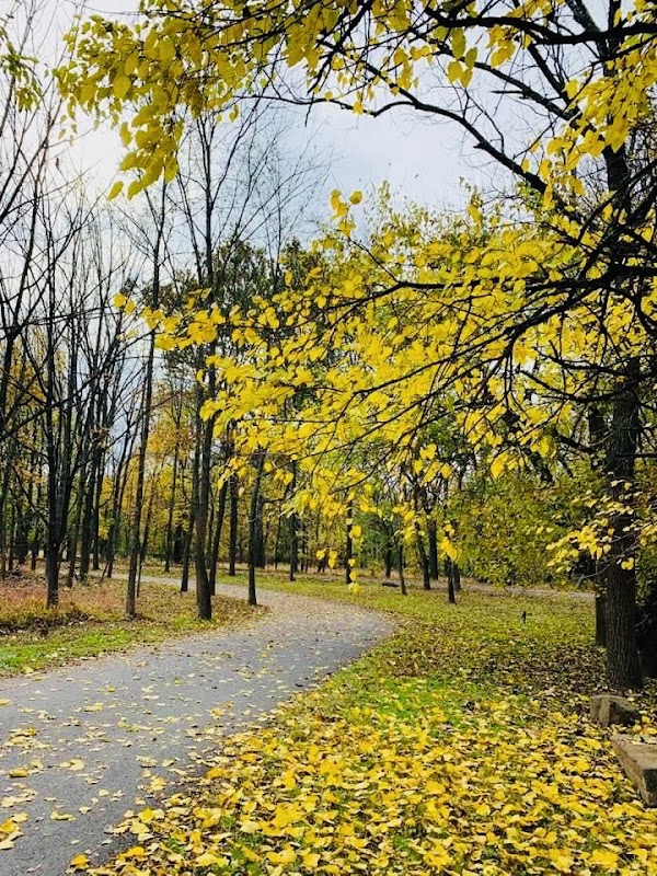 Perkiomen Trail Trailhead