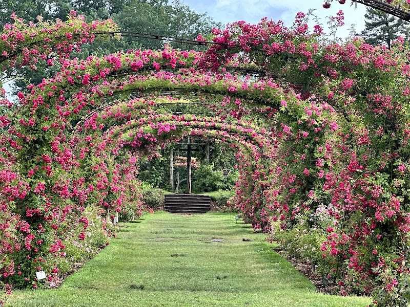Elizabeth Park Rose Garden