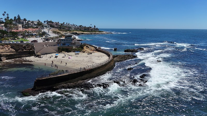 Lifeguard La Jolla Cove