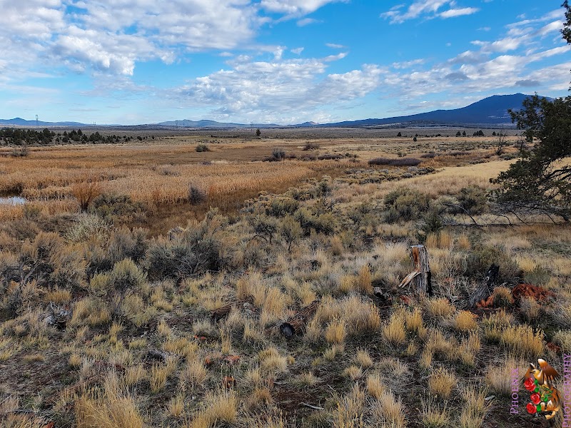 Rimrock Springs Wildlife Management Area