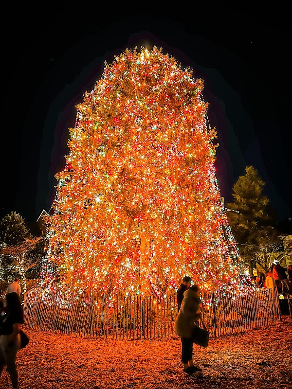 Palmer Square Princeton 08540