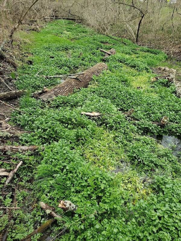 Woodbourne Springs Park