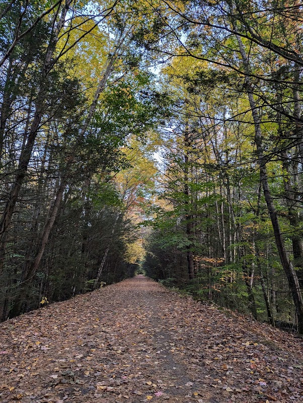 Rockingham Recreational Trail Parking