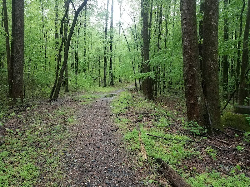 Lionel Hampton-Beecher Hills Park