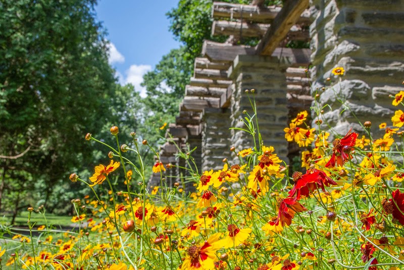 Stoneleigh: a natural garden