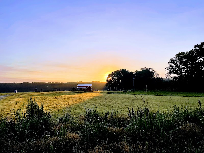 Odom Farming Company