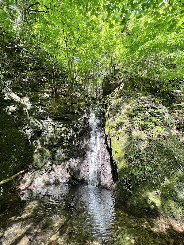 Otaki