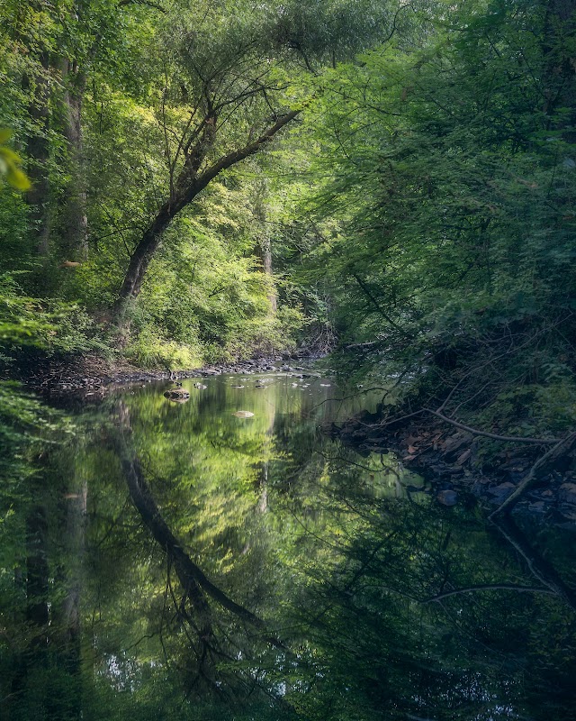 Rockefeller State Park Frog Bridge Entrance