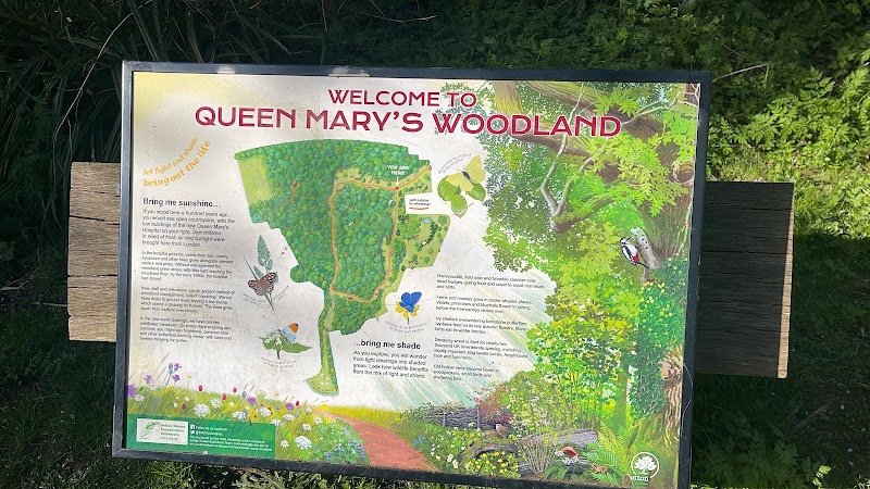 Queen Mary's Woodland