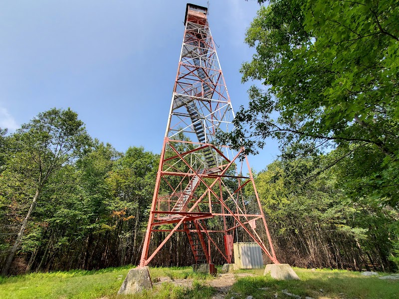 Fire Tower Trail