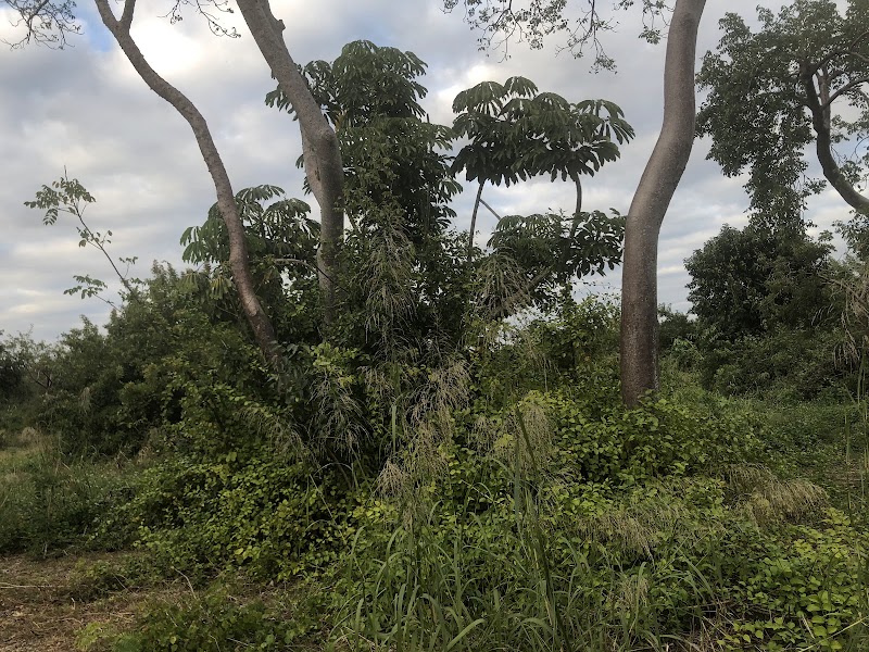 Naranja Woods Reserve