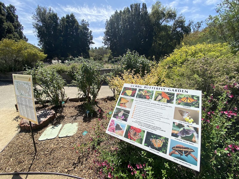 UCRBG Butterfly Garden