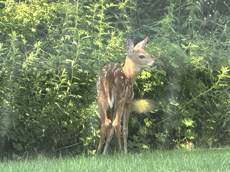 Welch Terrace Marsh Open Space