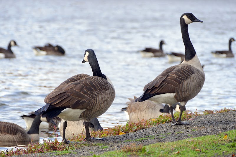 Dailey's Pond Recreation Area