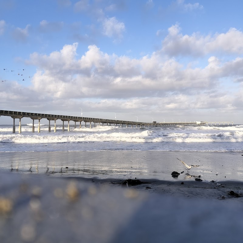 Ocean Beach