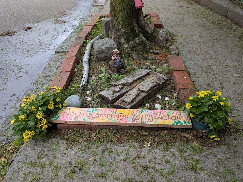 North Cambridge Fairy Garden