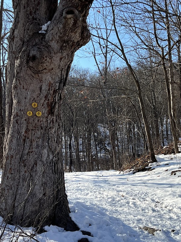 The Twin Sister Bridges, Hubbard Loop Trail