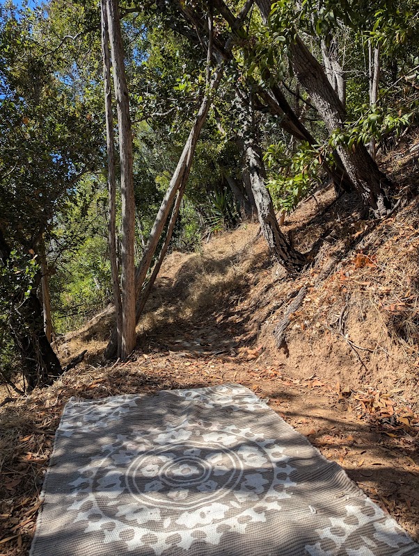 Flat picnic spot - old Leona Mine