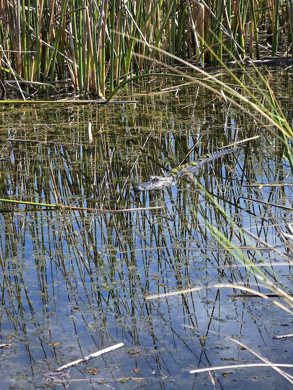 Hammock Nature Trail