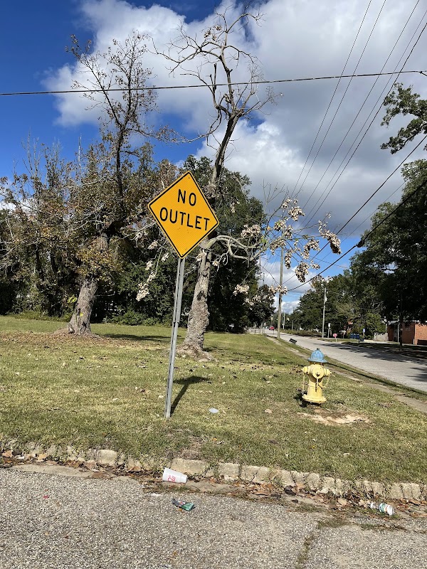 Former location of the Crichton Leprechaun Tree