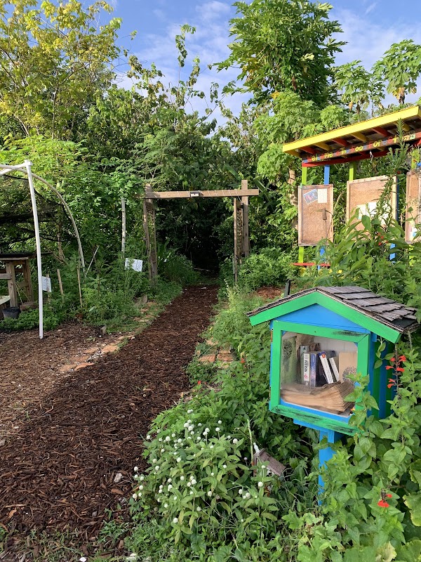 FGCU Food Forest