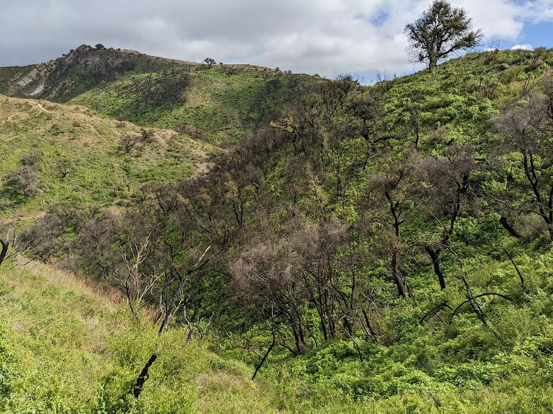 Backbone Trail Access at Encinal Canyon