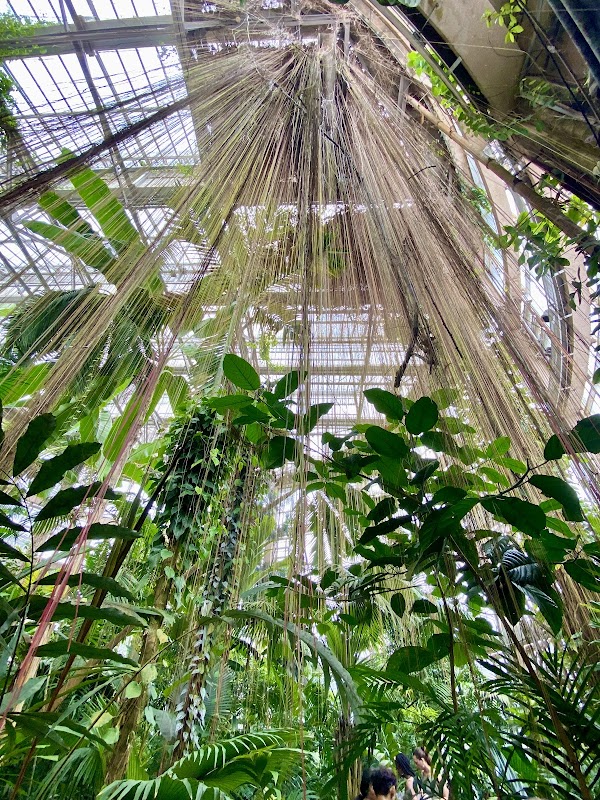 Dorothy Chapman Fuqua Conservatory