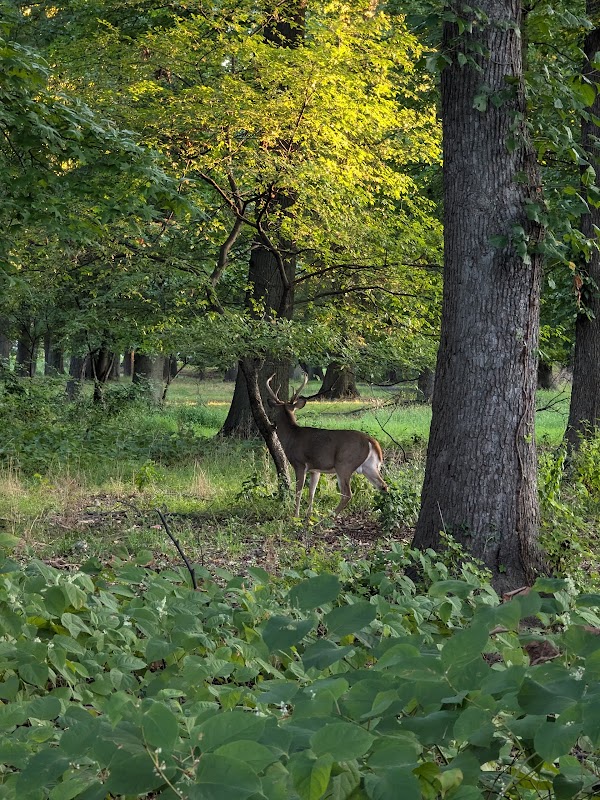 Elizabeth River Park