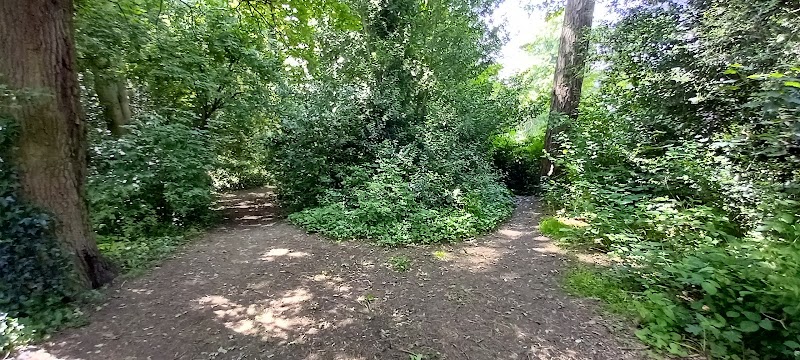 Mickleover Manor Public Open Space