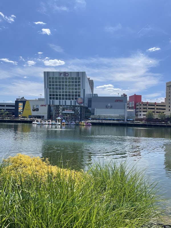 Rio Washingtonian Lake